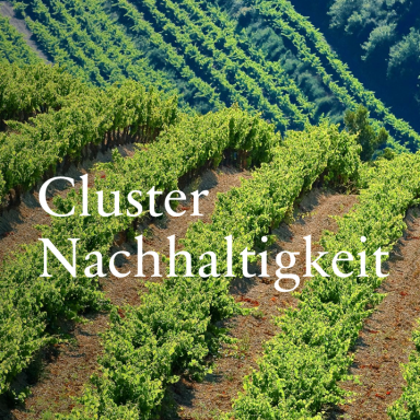 Cluster Nachhaltigkeit