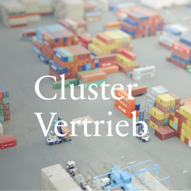 Cluster Vertrieb