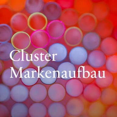 Cluster Markenaufbau